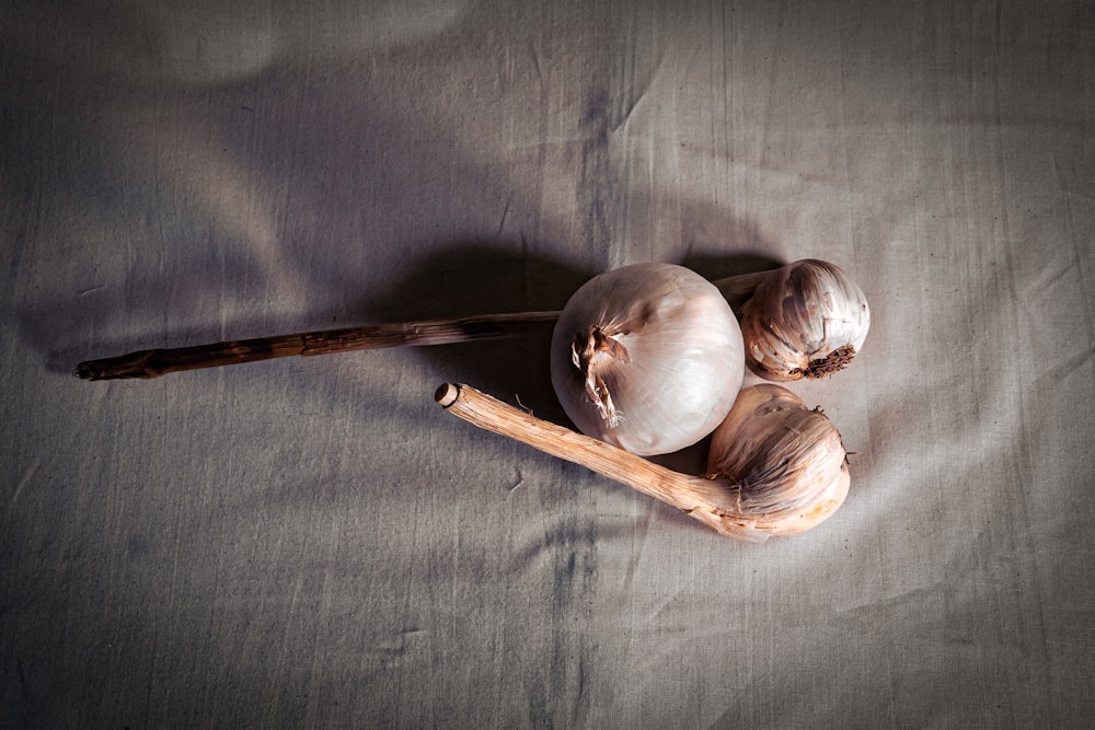 white garlic on gray textile