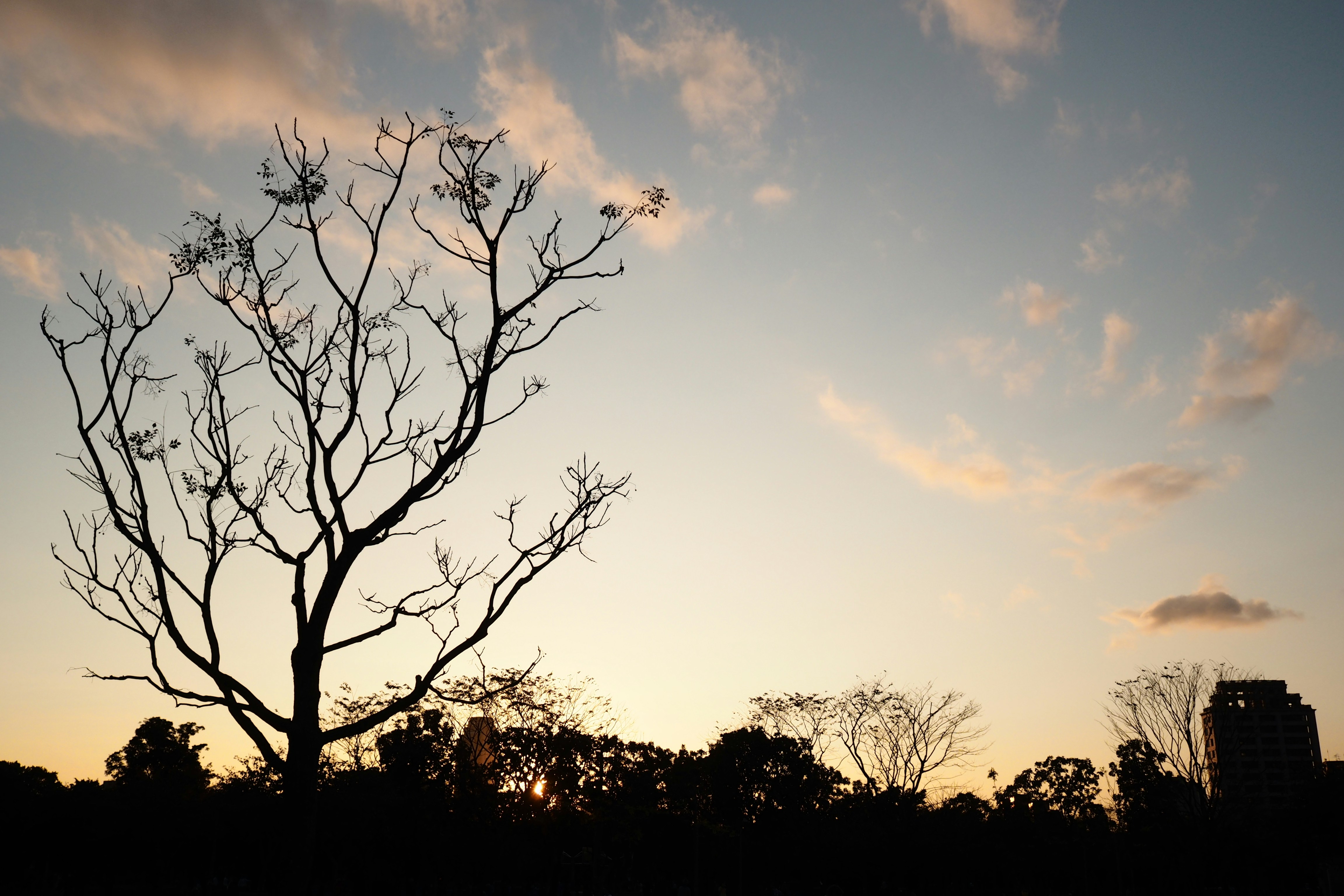 Photo by mclee