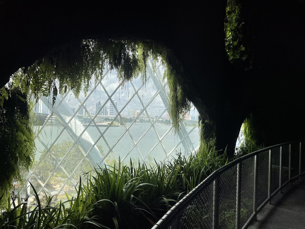 green trees near white metal fence