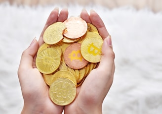 person holding gold round coins