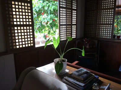 Cozy reading nook with large windows and tropical plants inside a Sarasota residence.