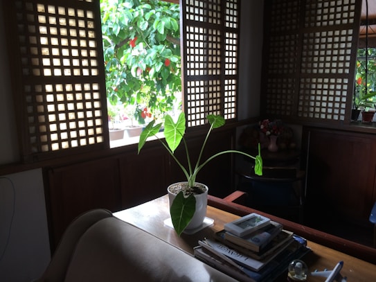 A cozy interior features a wooden table with a potted plant in the foreground. Behind the plant, wooden lattice windows allow sunlight to filter into the room, casting patterns on the walls and floor. Outside the window, lush green foliage and red flowers are visible, adding a splash of color to the tranquil setting. On the table, there are stacked magazines and books, indicating a relaxing reading space.