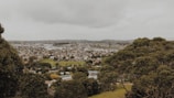 A panoramic view of multiple empty plots lined with trees and local houses in the background.
