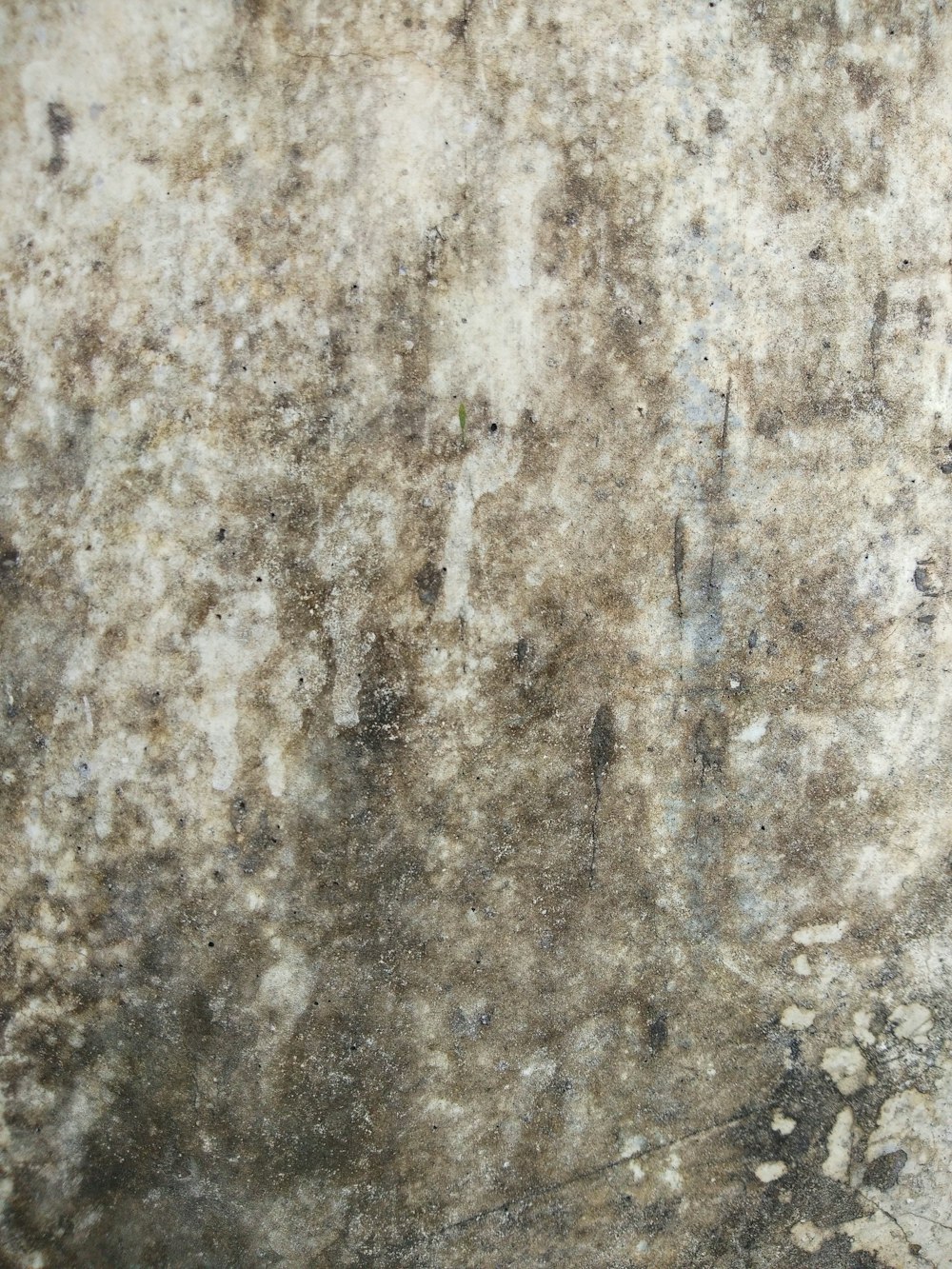 brown and white marble surface