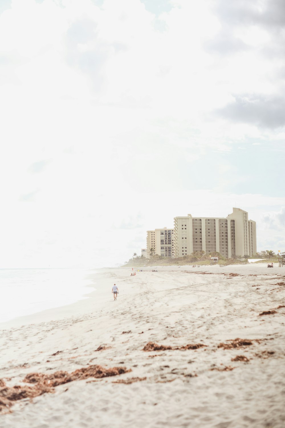 people on beach during daytime