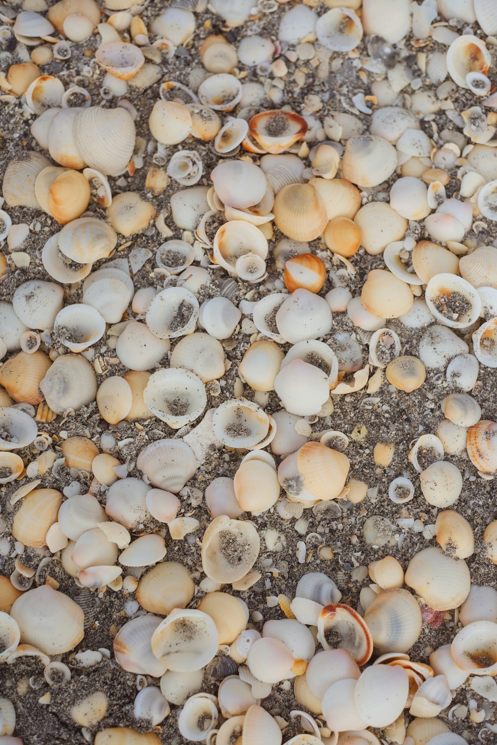 white and brown stone fragments