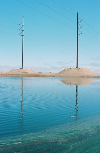 brown wooden stick on body of water during daytime