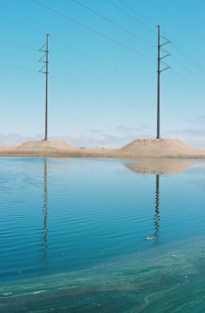 brown wooden stick on body of water during daytime