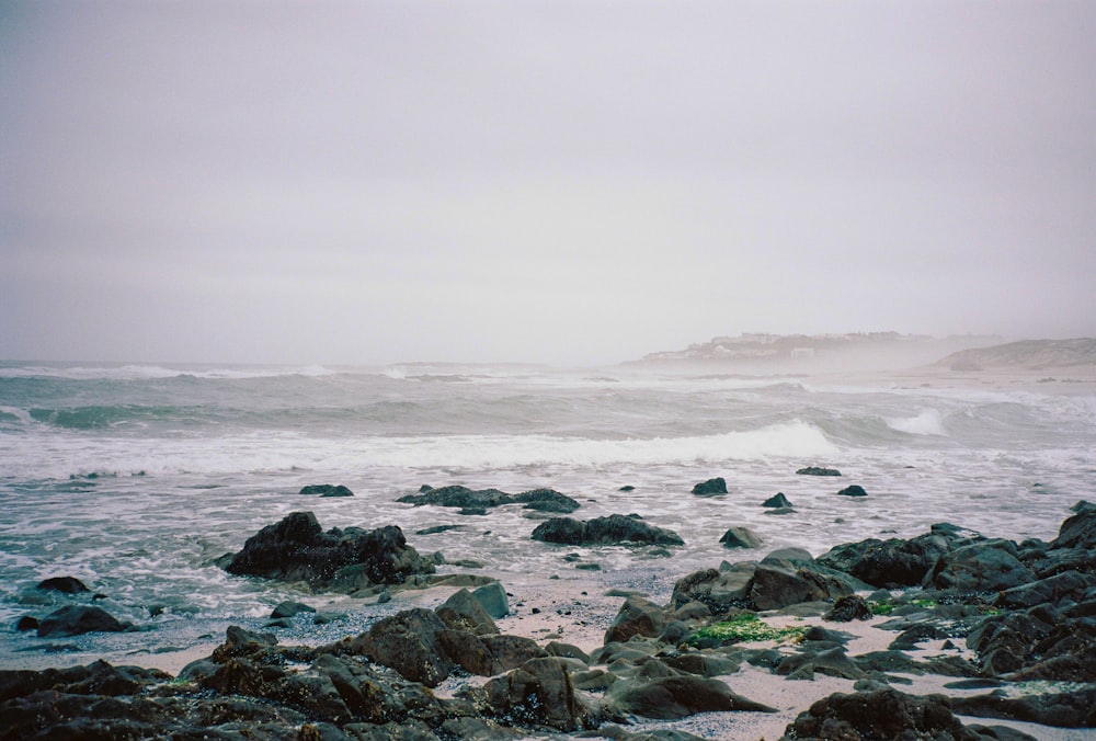 gray rocky shore during daytime