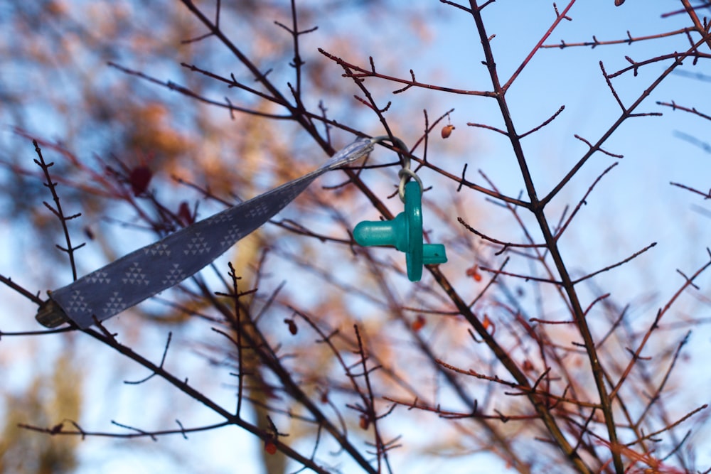 green and red cross on brown tree branch during daytime