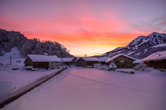 snow covered houses and trees during sunset in 6863 Egg Austria