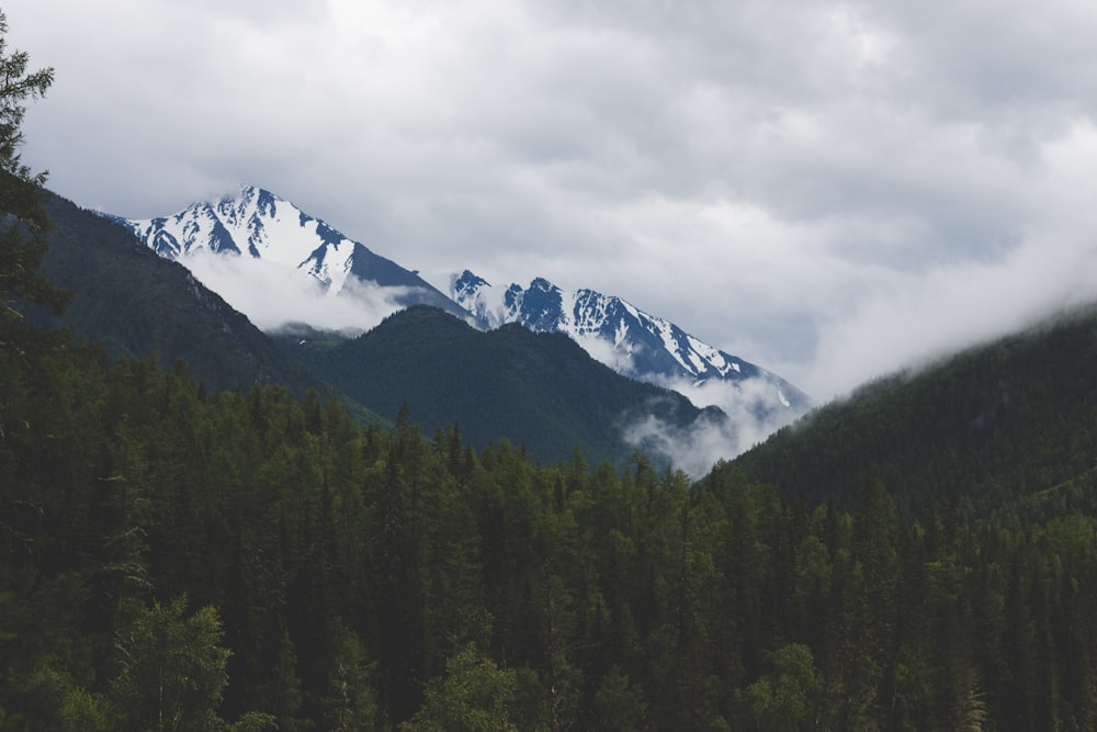 a view of a mountain range with trees in the foreground