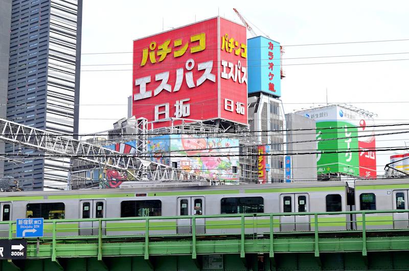 Japan Travel Insurance: Do You Really Need It?