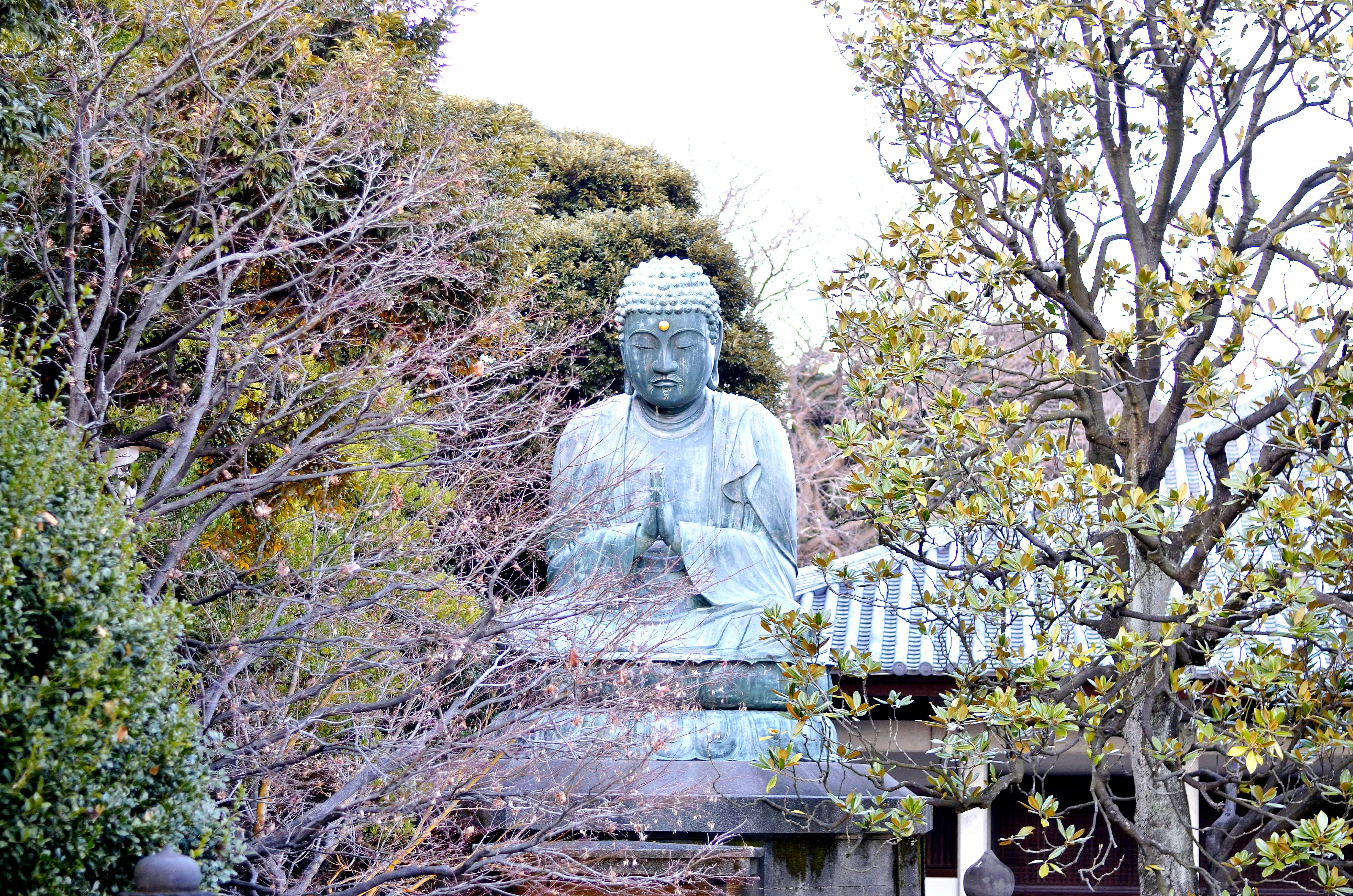 Photo by travelphotographer