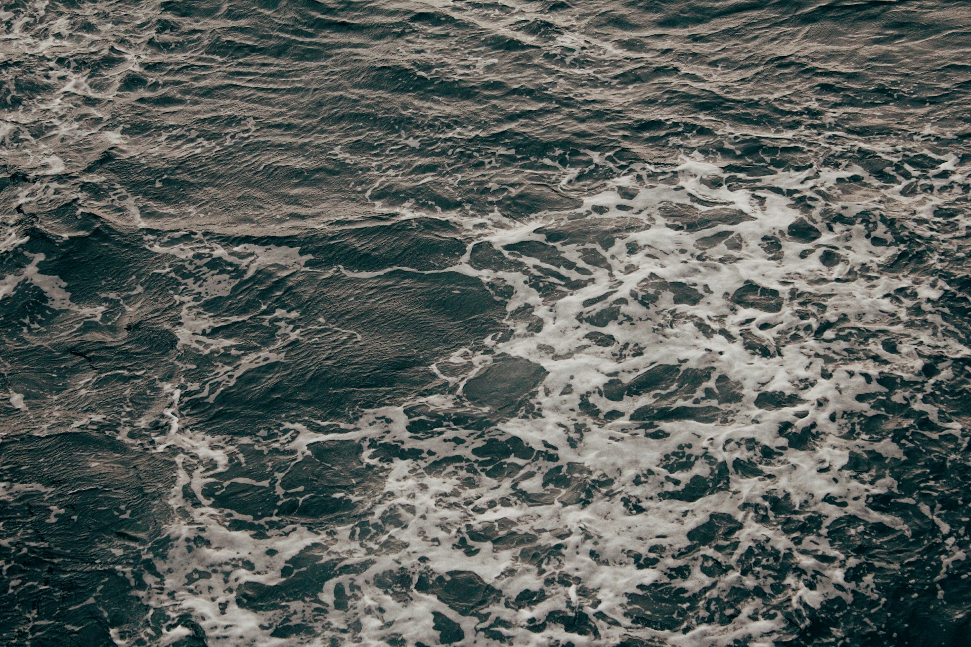 body of water during daytime