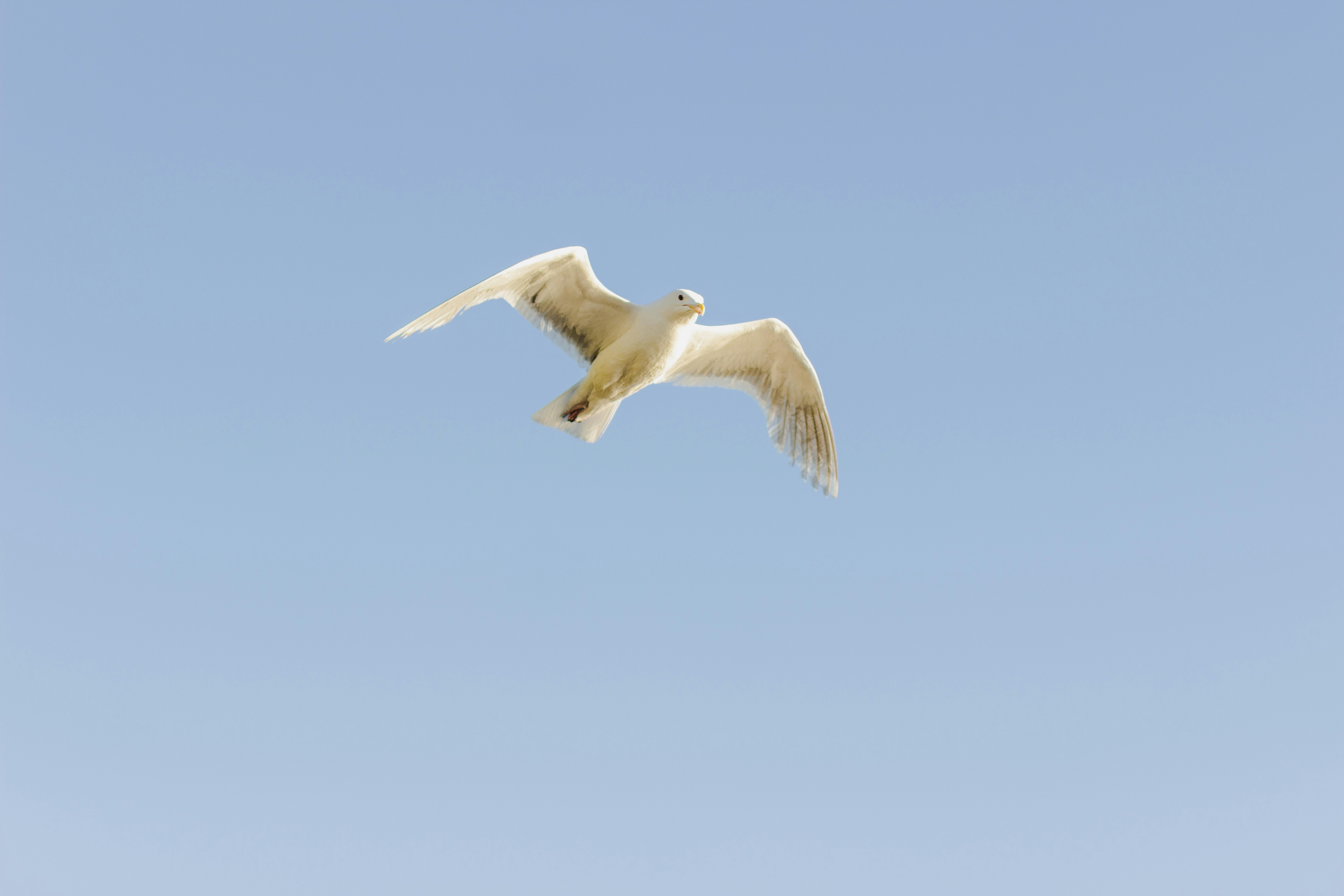 Photo by diofagundes