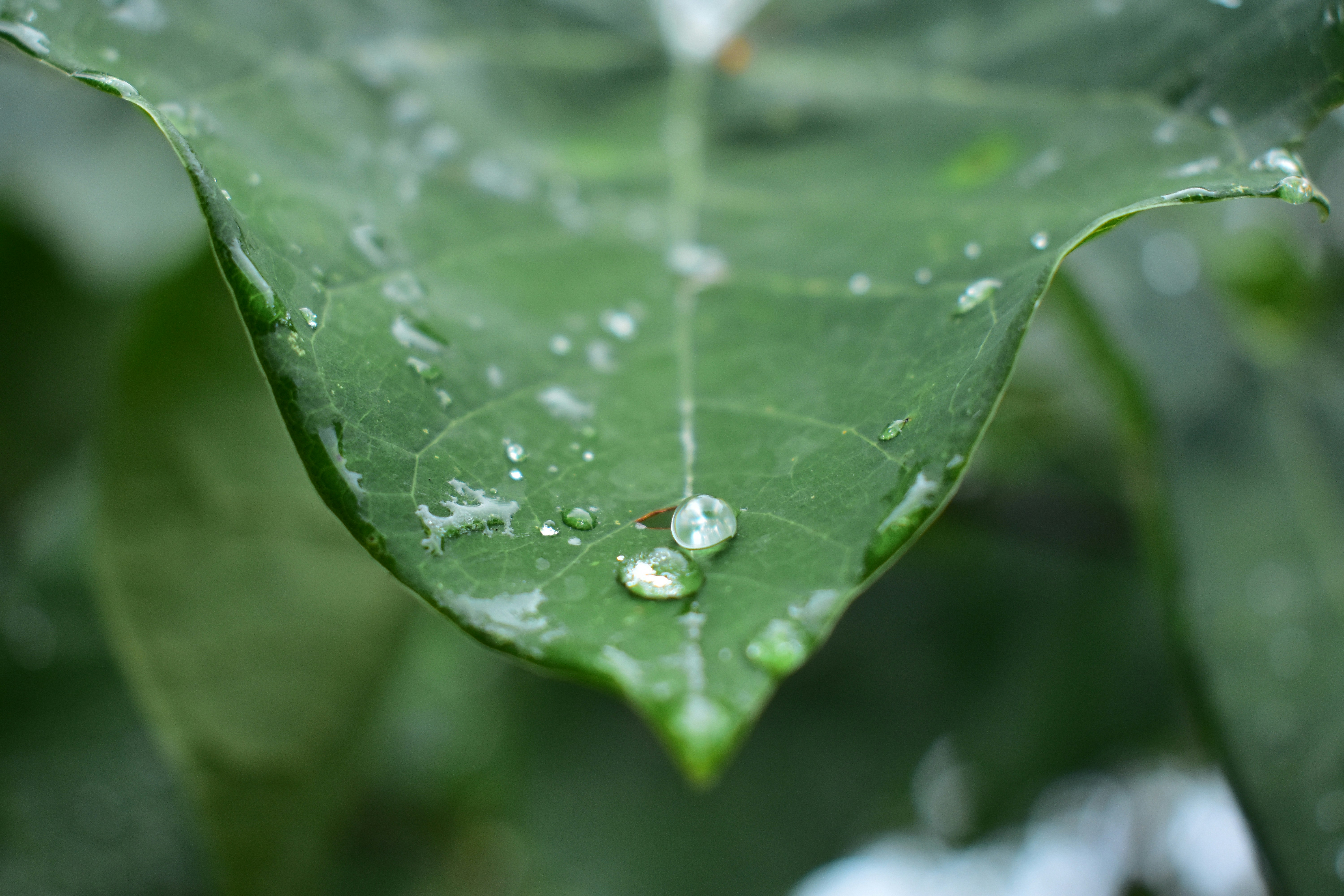 Photo by grace540816