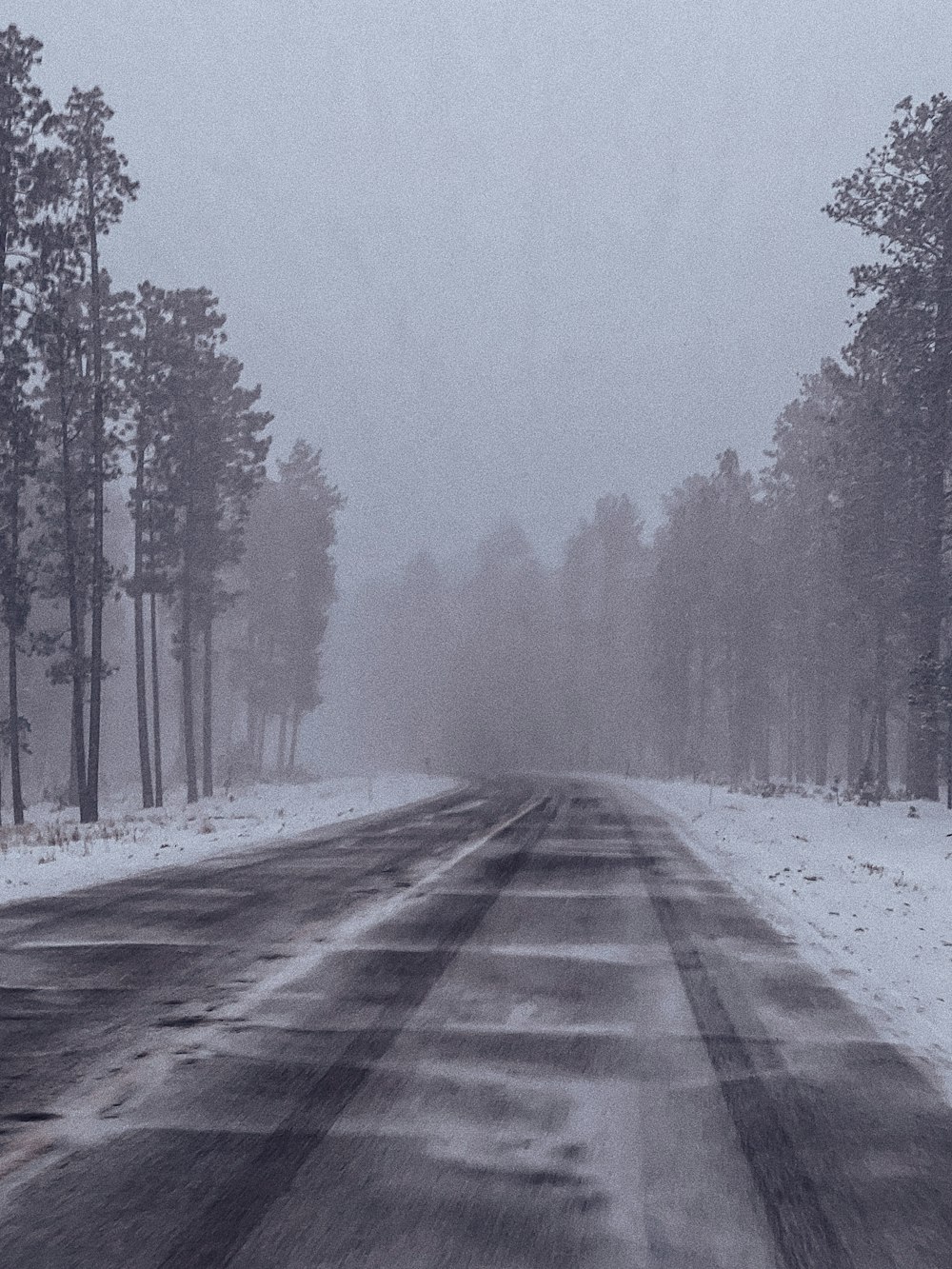 snow covered road between trees