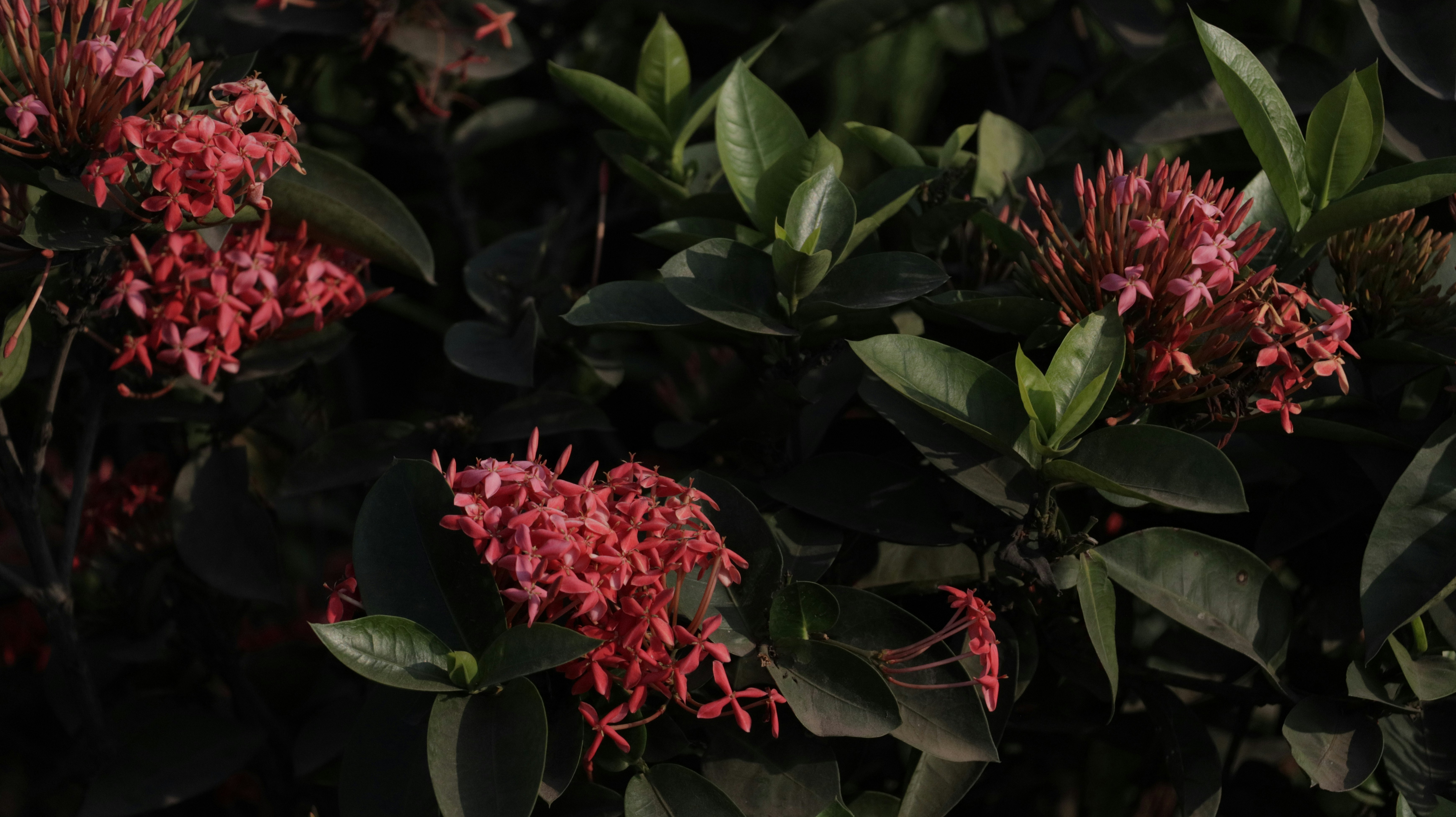 Photo by khush05