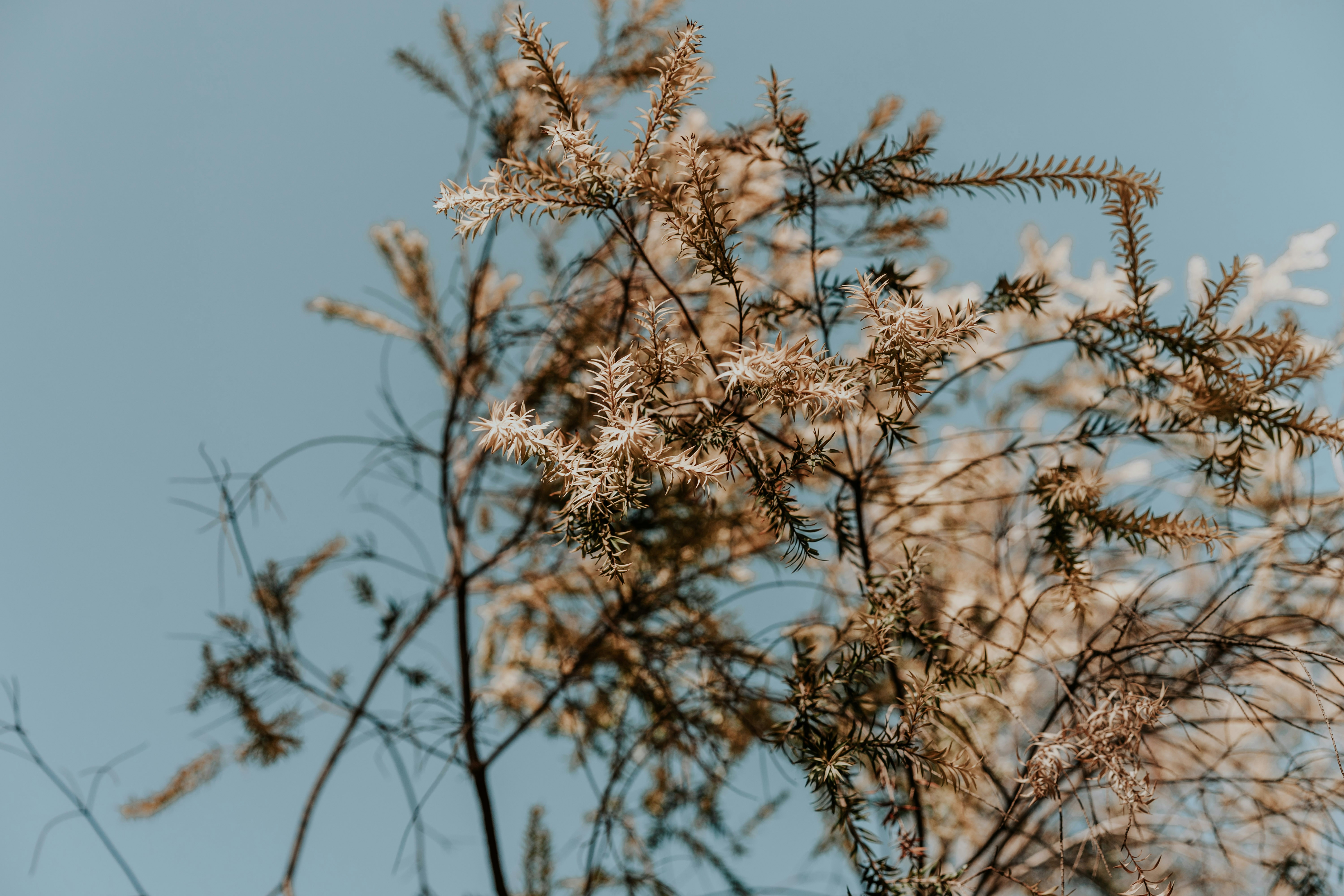 Photo by severusflint