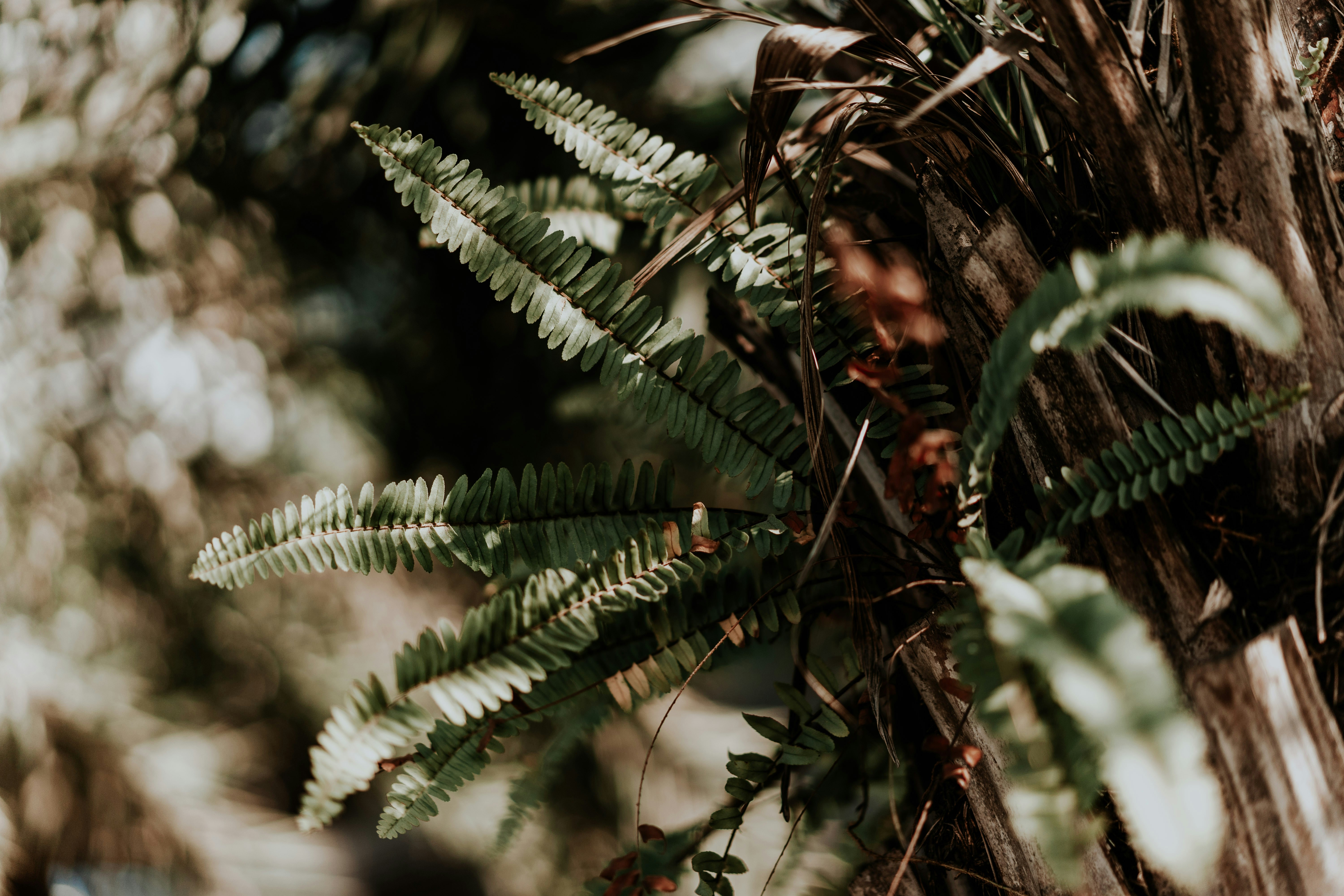 Photo by severusflint