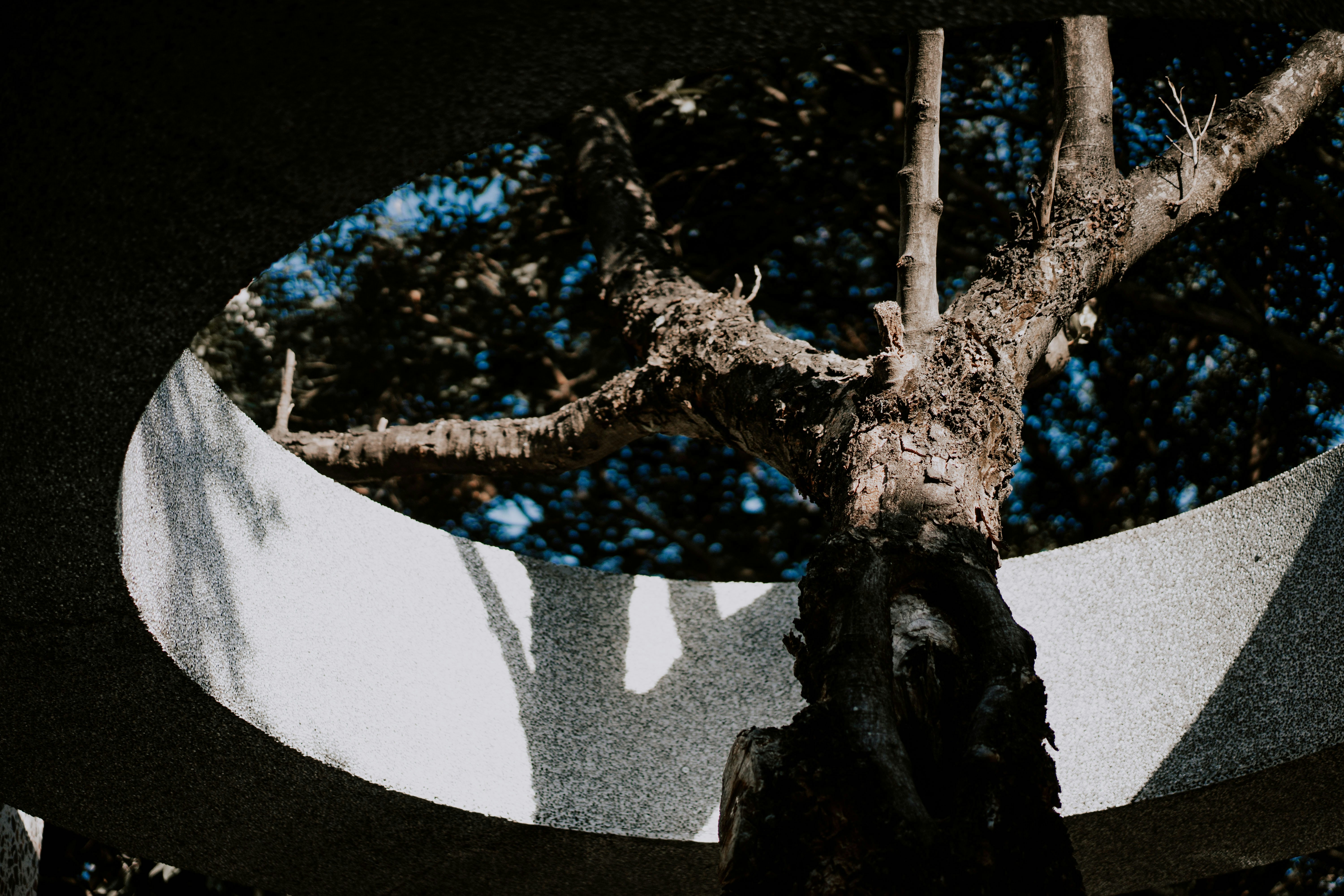 Photo by severusflint