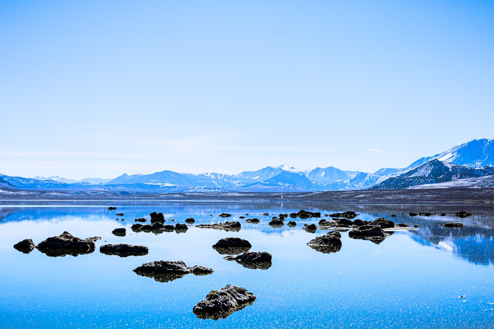roches grises sur le plan d’eau bleu pendant la journée