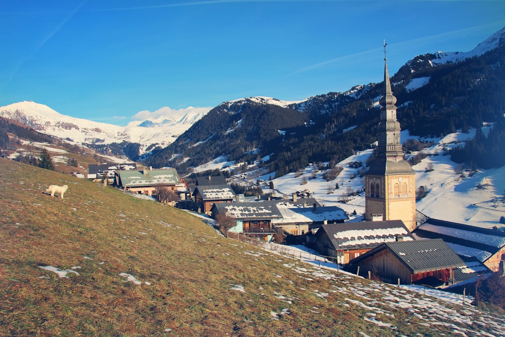 brown and white concrete building near snow covered mountain during daytime