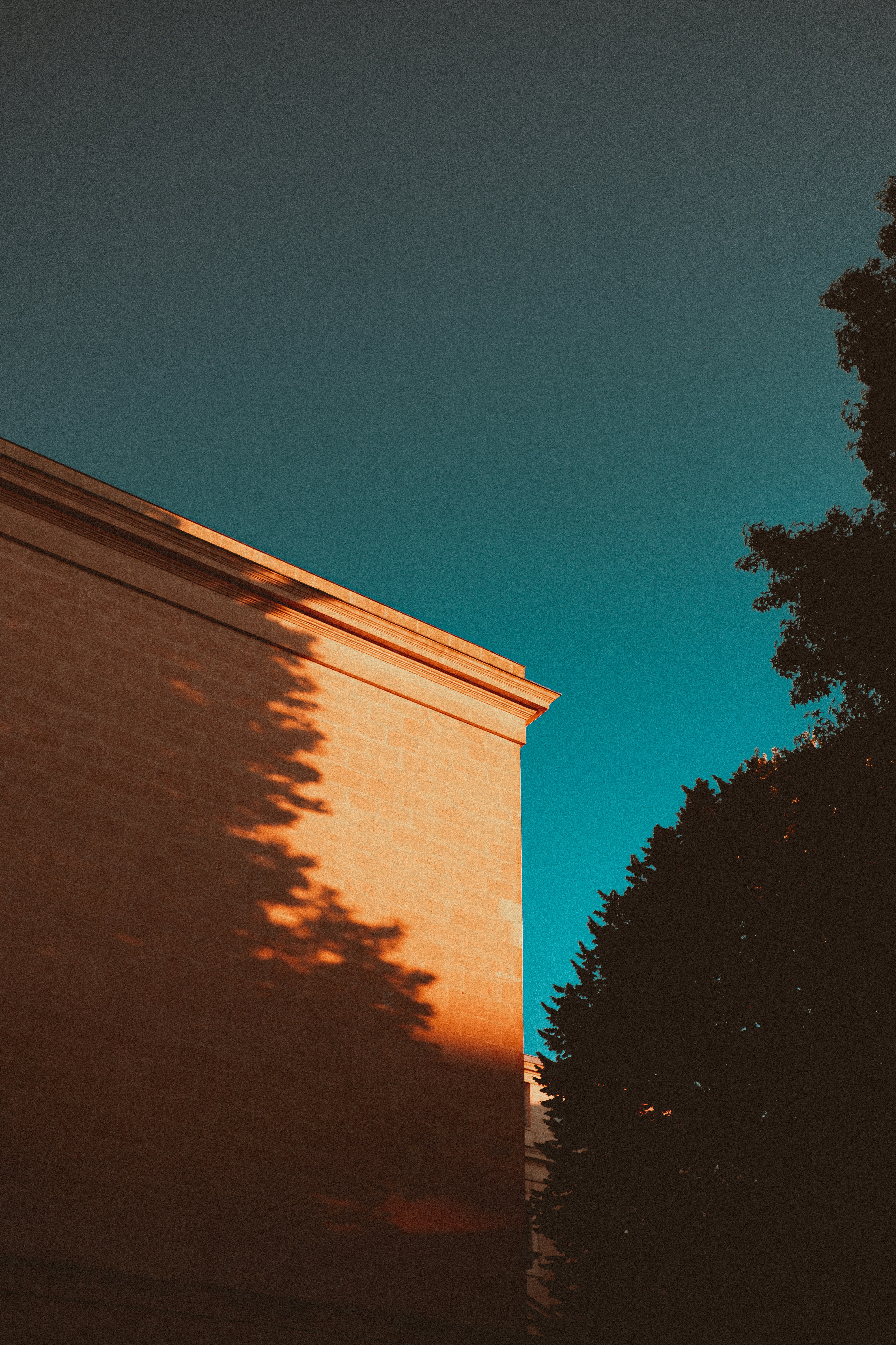 Photo by tomcaptures