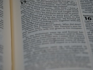 A close-up view of an open book, displaying printed text in paragraphs with a focus on a specific passage. The text is clear and in a serif font, indicating a formal or scholarly tone. One page is slightly out of focus, creating depth.
