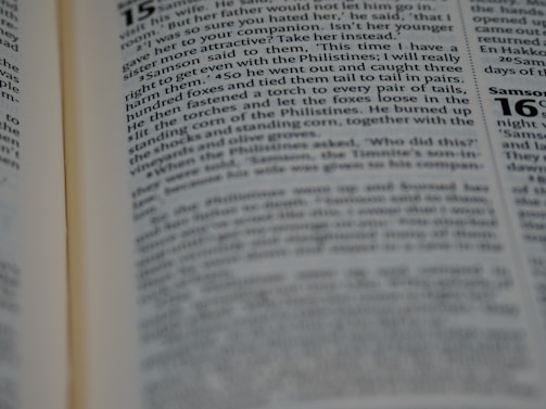A close-up view of an open book, displaying printed text in paragraphs with a focus on a specific passage. The text is clear and in a serif font, indicating a formal or scholarly tone. One page is slightly out of focus, creating depth.