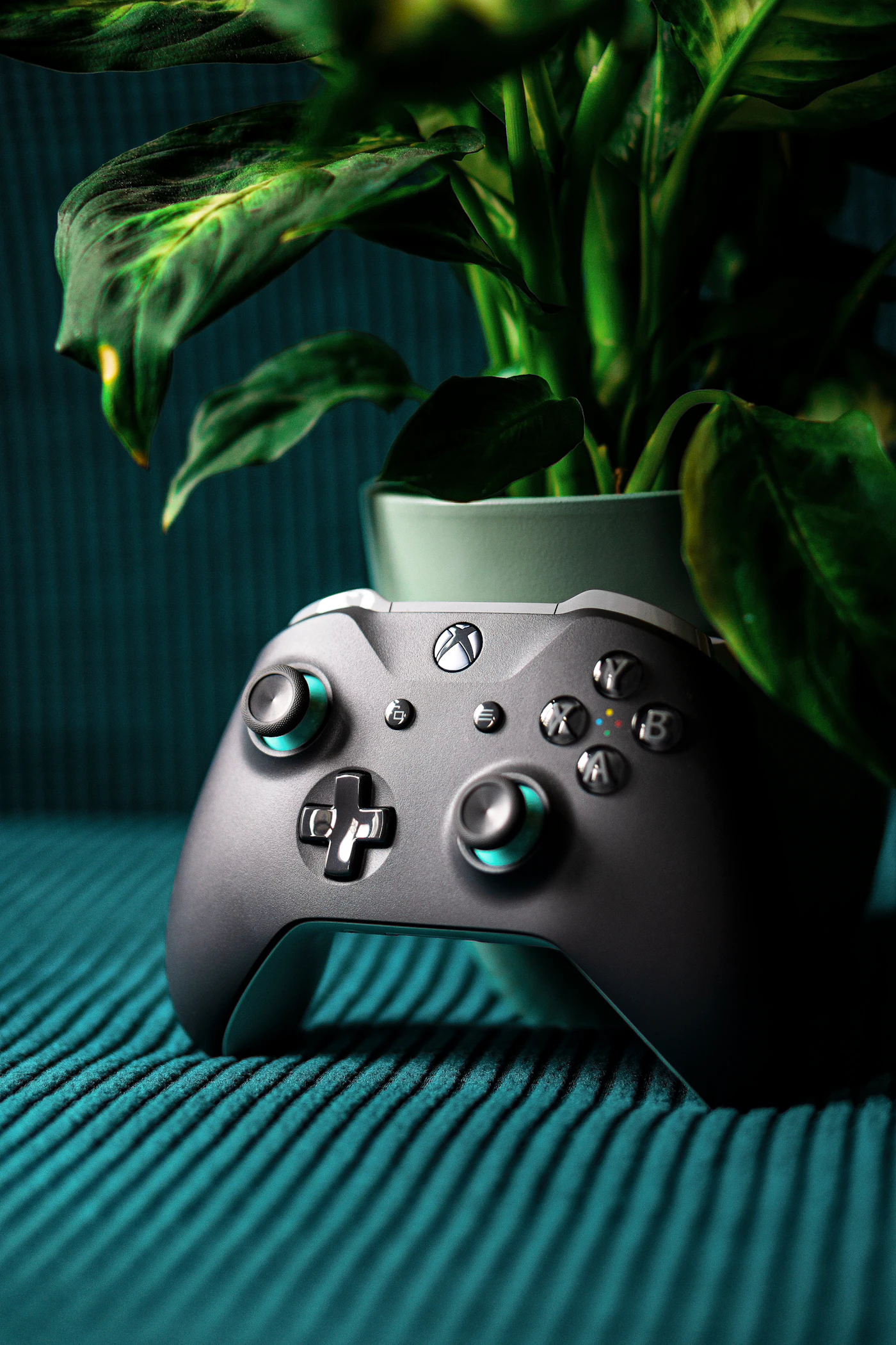 Le programme Xbox Disc-to-Digital sort officiellement de sa phase de test