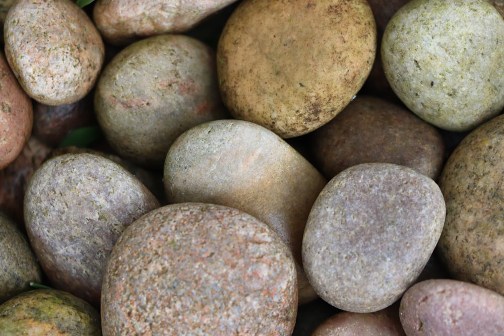 gray and brown stone fragments