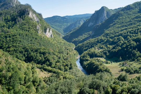 river between green mountains during daytime in Durmitor mendigunea Montenegro