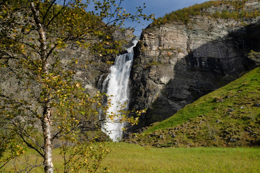 green grass field near waterfalls under blue sky during daytime