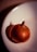 A single brown onion with a dry, papery skin sits on a white surface. The lighting casts a strong shadow behind the onion, creating a dramatic effect. The onion's texture is visible, with slight ridges running vertically.