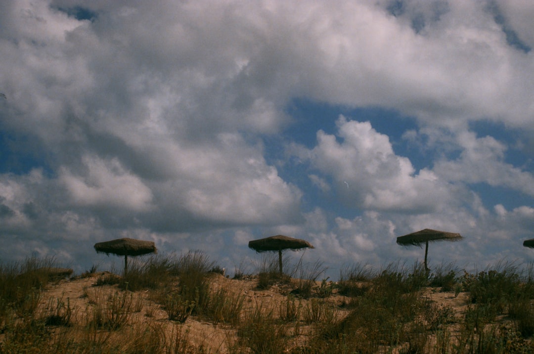 travelers stories about Plain in Sinemorets, Bulgaria