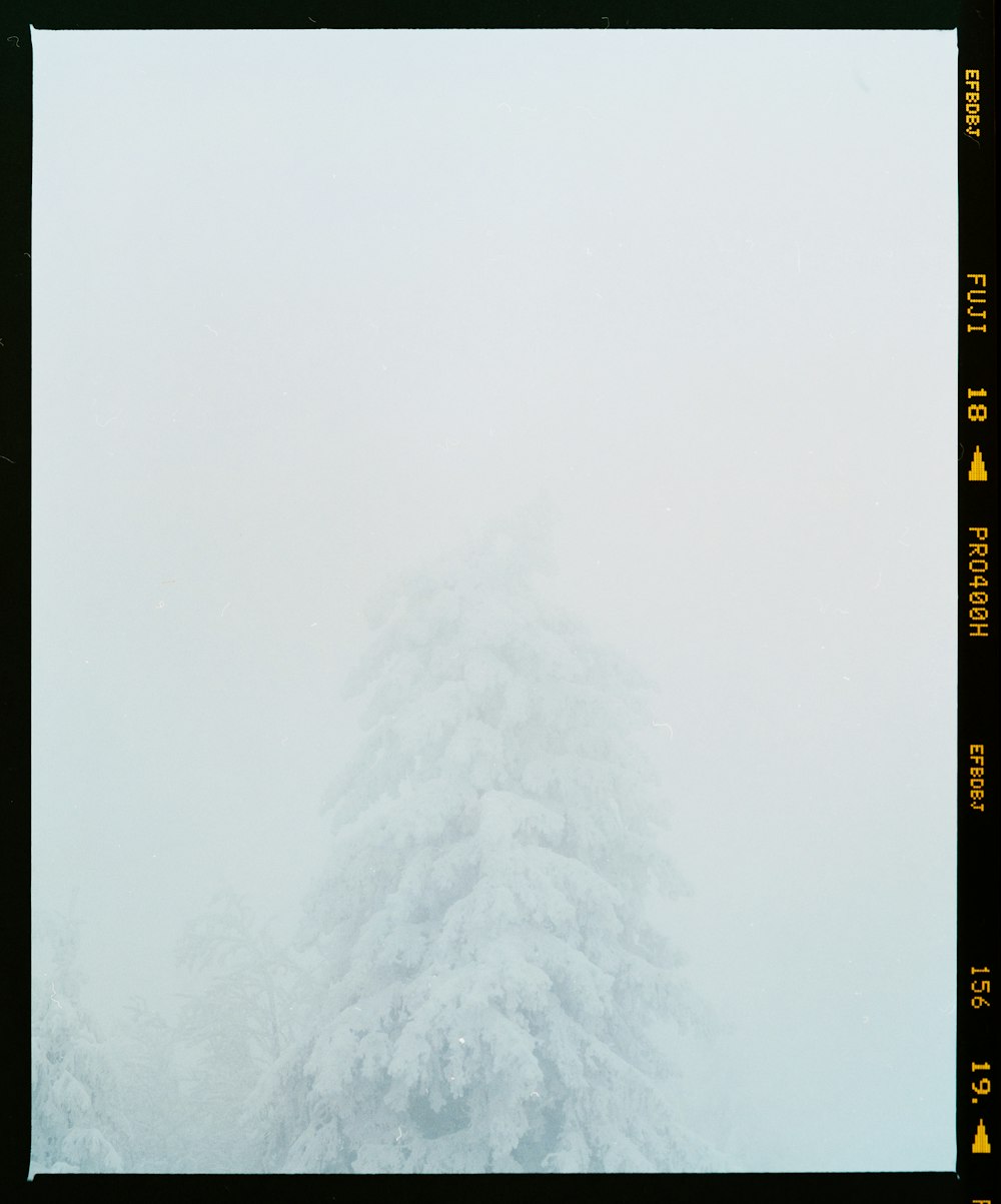 white and brown wall with snow