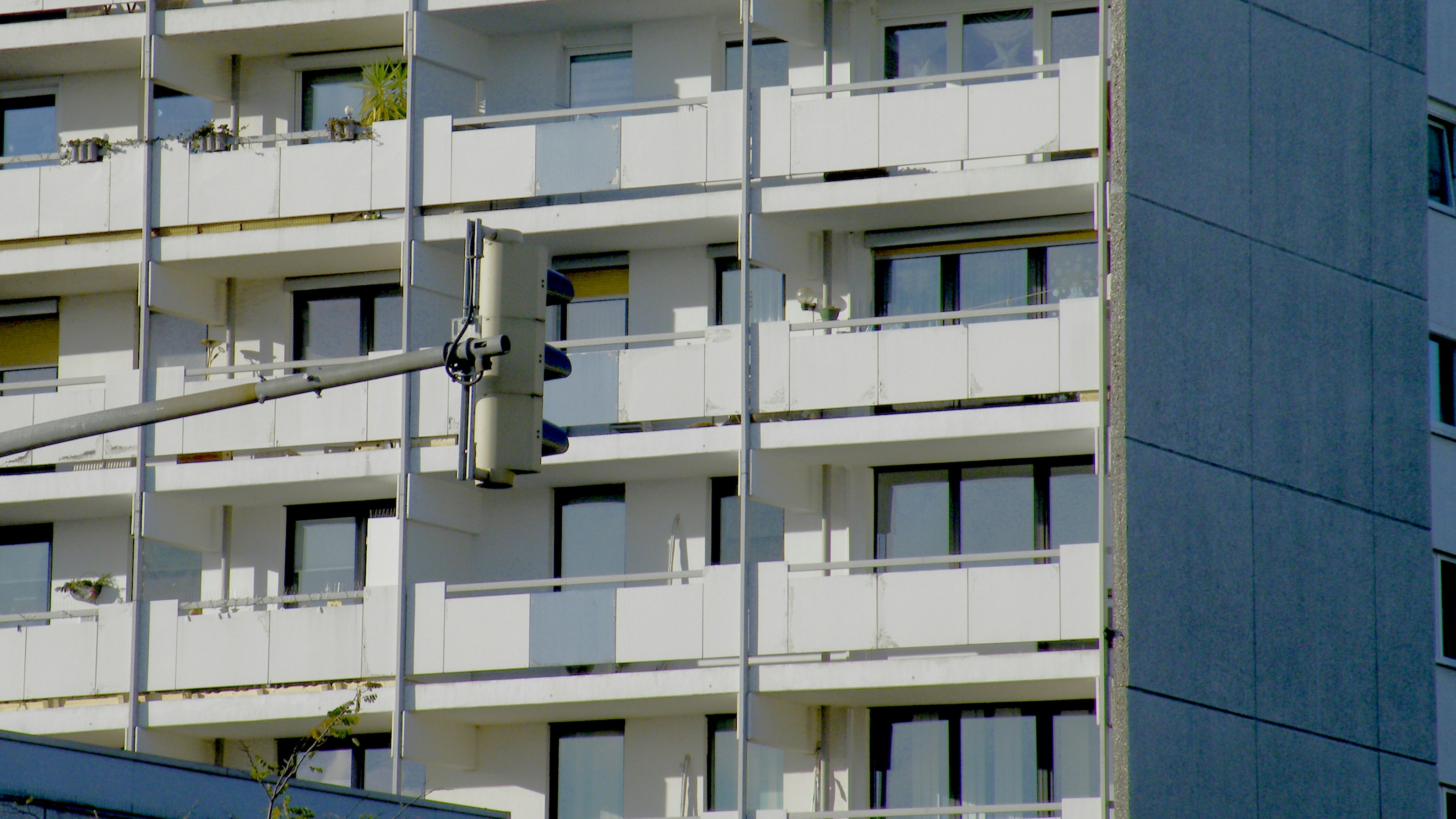 Photo by carmelabehindcamera