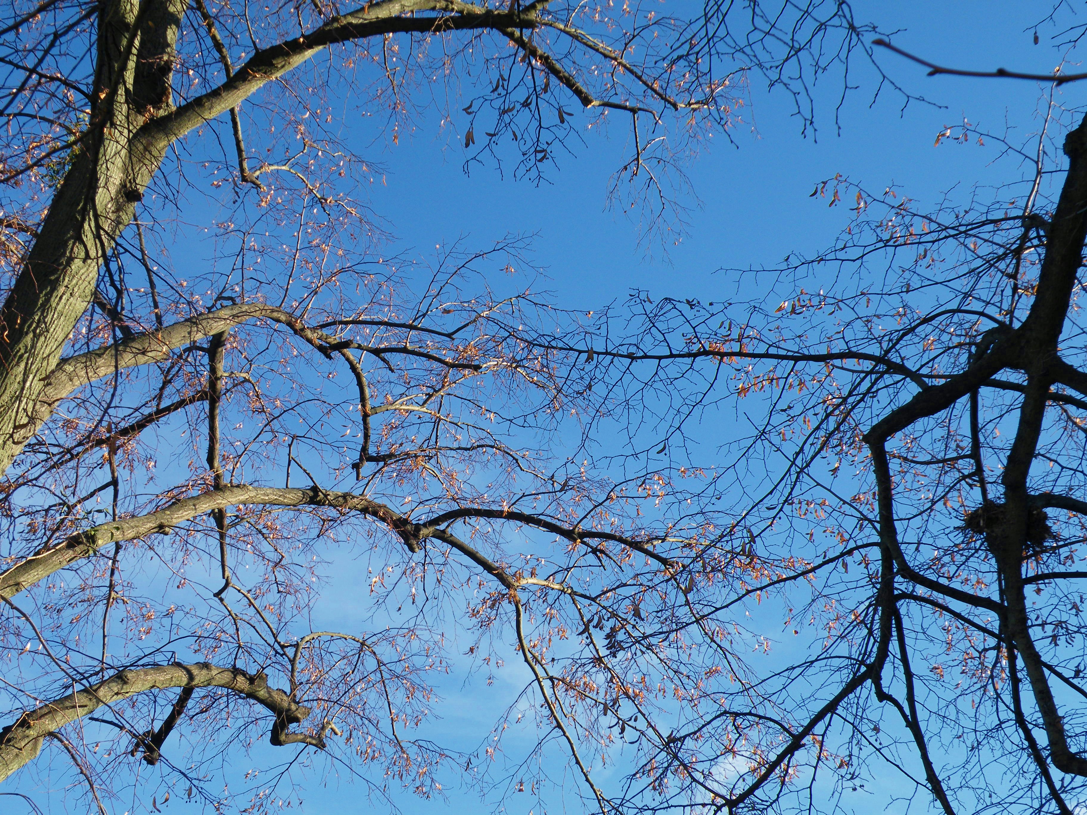 Photo by carmelabehindcamera