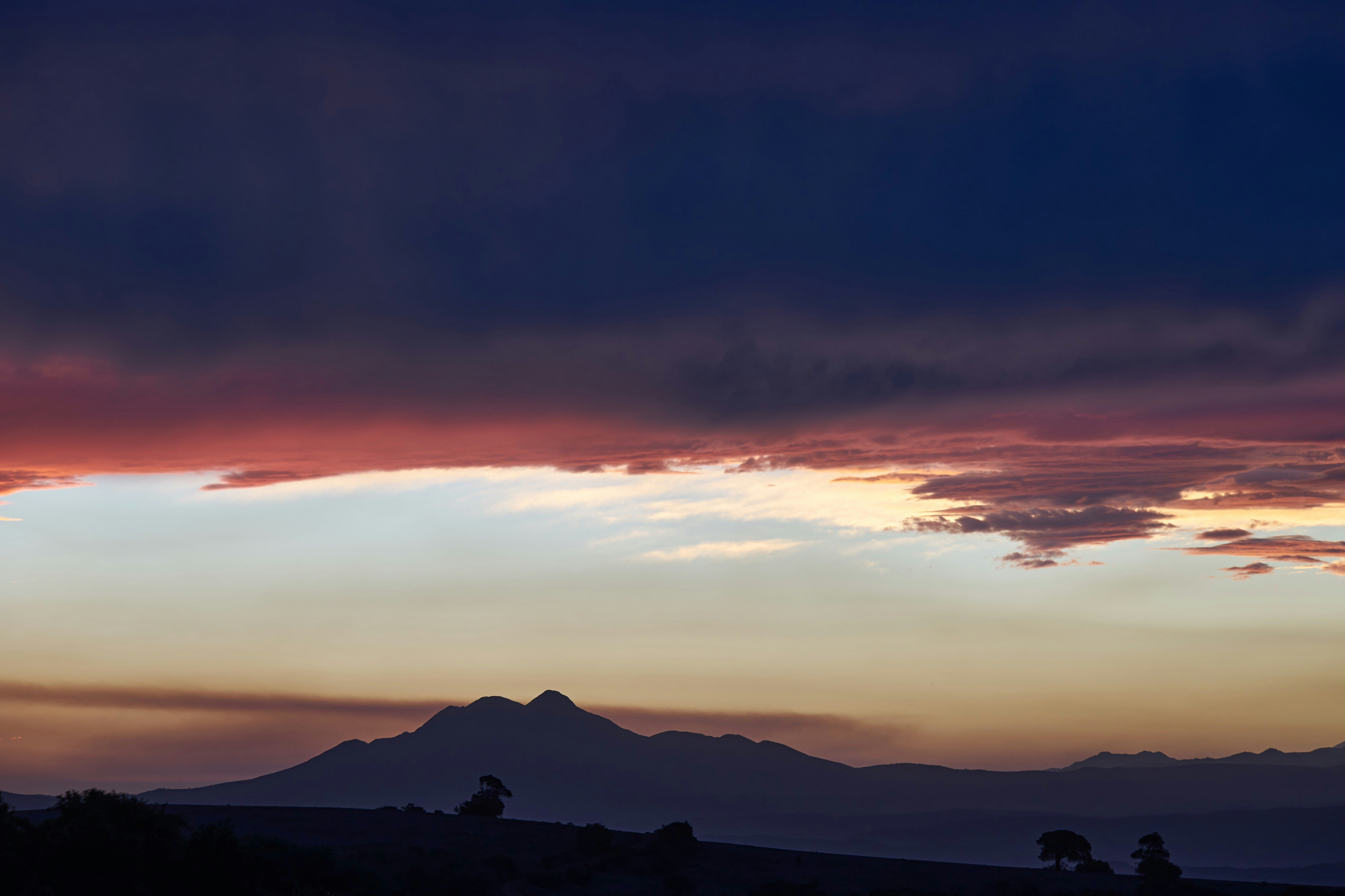 Photo by wolfgang_hasselmann