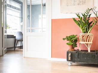 A cozy interior space features beige and terracotta-colored walls with a wooden floor. A large green plant in a woven basket planter rests atop a dark vintage trunk on wheels. Another smaller potted plant is placed nearby. In the adjacent room, a window with blinds allows natural light to illuminate a gray chair positioned next to a wooden desk.