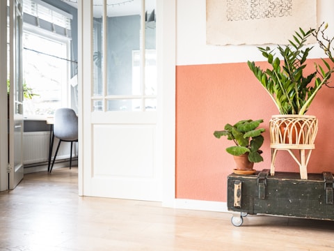 A cozy interior space features beige and terracotta-colored walls with a wooden floor. A large green plant in a woven basket planter rests atop a dark vintage trunk on wheels. Another smaller potted plant is placed nearby. In the adjacent room, a window with blinds allows natural light to illuminate a gray chair positioned next to a wooden desk.