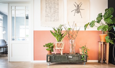 A stylish interior space features a collection of potted plants arranged on a vintage green trunk with wheels. Above, two artistic prints hang on the wall, one depicting a detailed insect illustration. The wall is painted in a warm, earthy tone, complementing the natural wood floor and the greenery. To the left, a glimpse of another room shows a chair and a string of lights.