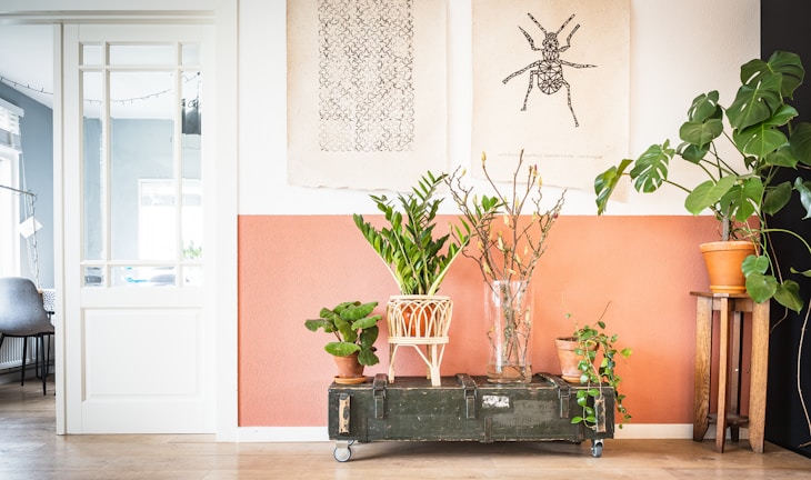 A stylish interior space features a collection of potted plants arranged on a vintage green trunk with wheels. Above, two artistic prints hang on the wall, one depicting a detailed insect illustration. The wall is painted in a warm, earthy tone, complementing the natural wood floor and the greenery. To the left, a glimpse of another room shows a chair and a string of lights.