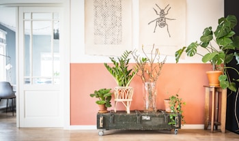 A stylish interior space features a collection of potted plants arranged on a vintage green trunk with wheels. Above, two artistic prints hang on the wall, one depicting a detailed insect illustration. The wall is painted in a warm, earthy tone, complementing the natural wood floor and the greenery. To the left, a glimpse of another room shows a chair and a string of lights.