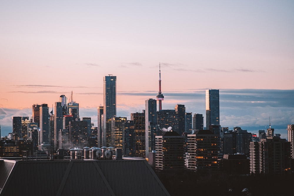 city skyline during night time