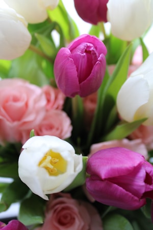 A close-up view of a bouquet featuring vibrant pink tulips surrounded by soft white flowers and delicate pink roses. The arrangement includes an array of lush green leaves providing a fresh contrast to the blossoms.