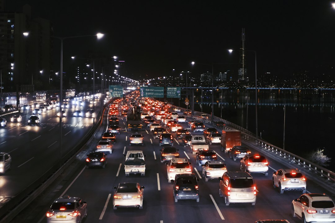 Turkey Traffic: Airlines Prepare for Busiest Thanksgiving Travel Ru… — Turkey Traffic, photo 8
