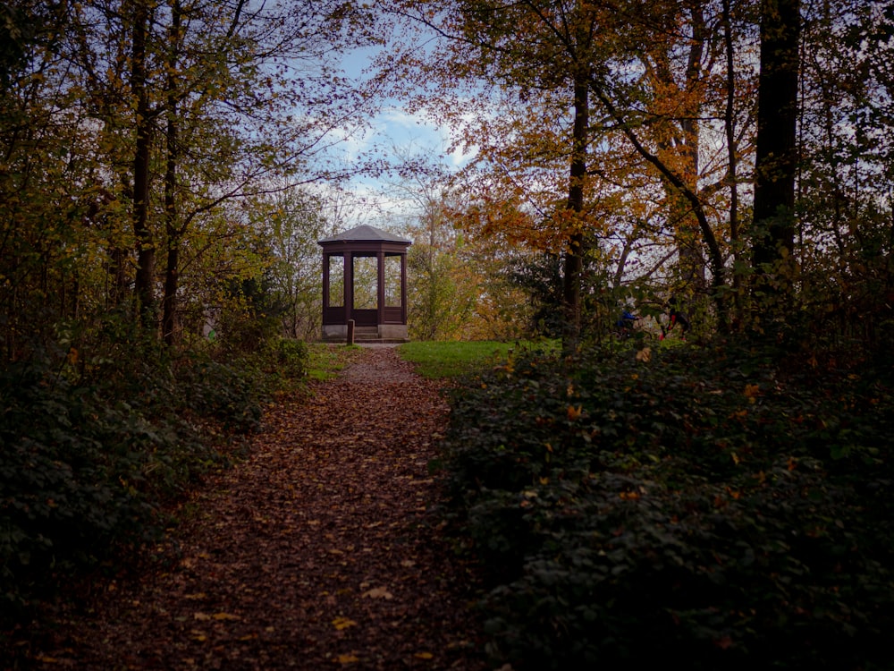 gazebo in legno marrone circondato da alberi durante il giorno